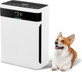 purificateur d'air HAUSHOF – 250 m | Blanc/Noir, HEPA H13 CADR ³/h – Filtre HEPA 4-en-1 éliminant 99 | 97% des polluants