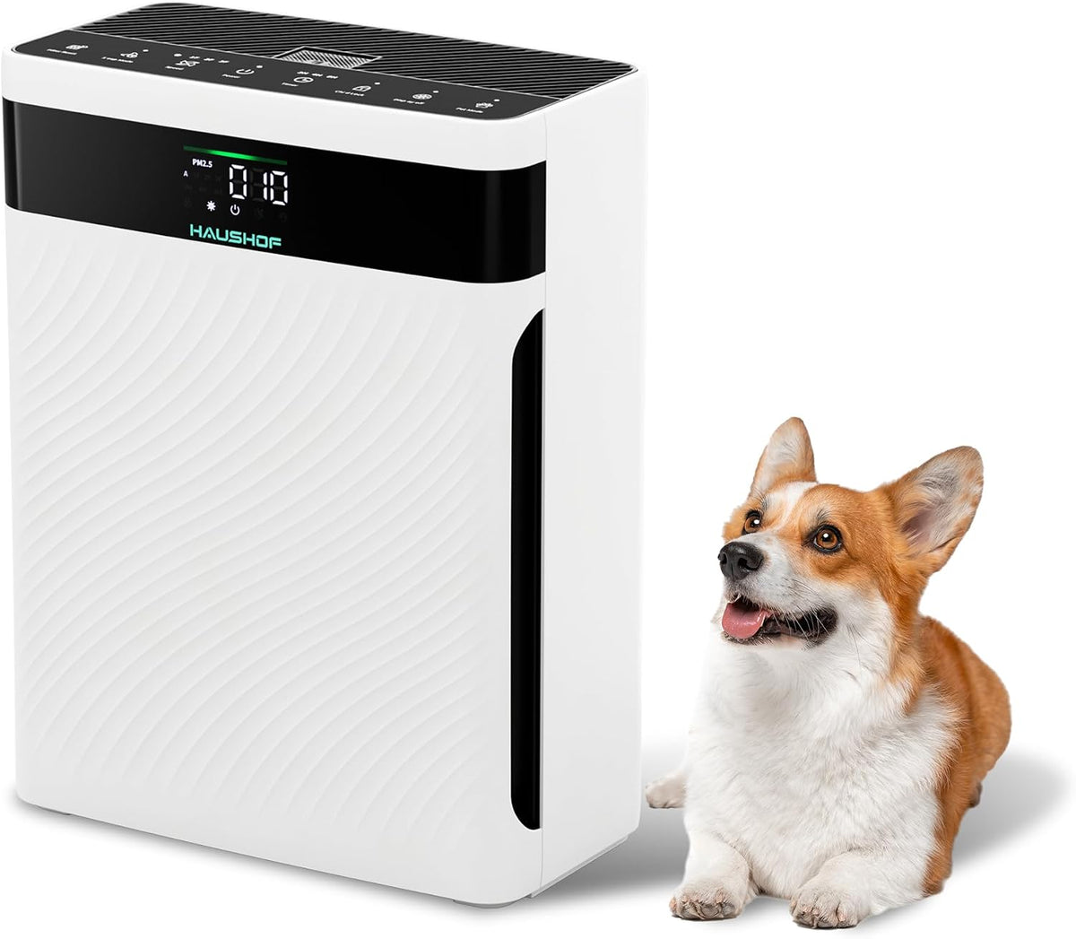 purificateur d'air HAUSHOF – 250 m | Blanc/Noir, HEPA H13 CADR ³/h – Filtre HEPA 4-en-1 éliminant 99 | 97% des polluants